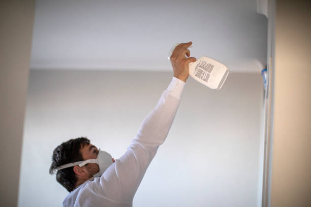 Best Mold Removal Near Me  in Humboldt Hill, CA