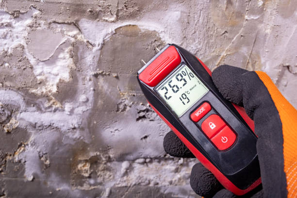 Best Local Mold Removal Service  in Humboldt Hill, CA