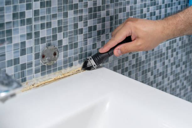 Best Mold Cleaning Services  in Humboldt Hill, CA