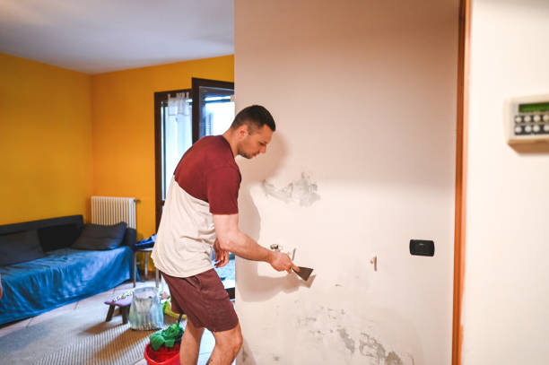 Best Home Mold Removal  in Humboldt Hill, CA